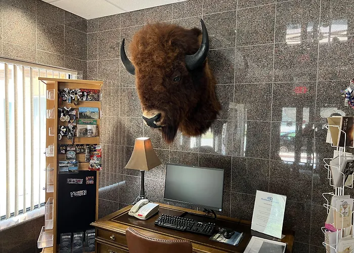 Rushmore Express & Suites