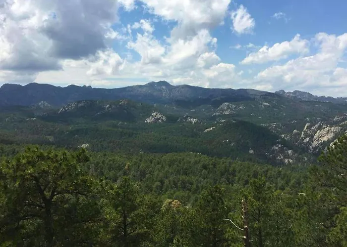 Magnuson Grand Rushmore View